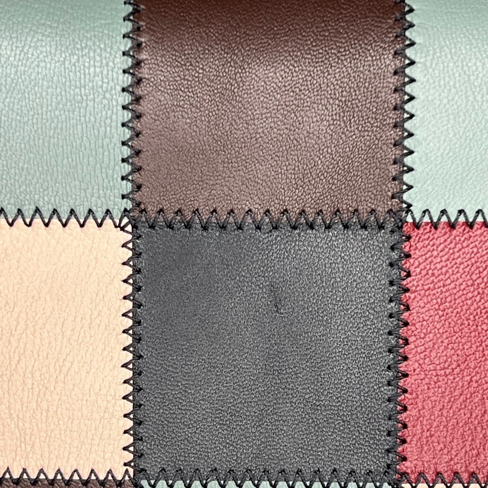Coachtopia Alter Ego Bag Multicolor 3